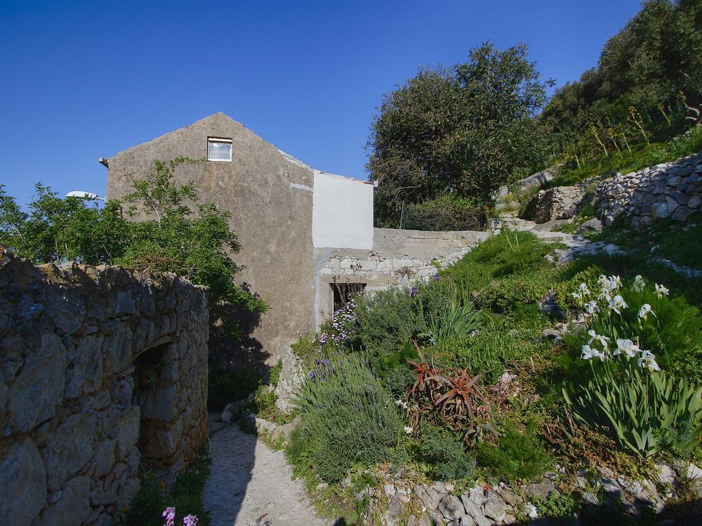Apartment Cacini Dvori Lastovo Oda fotoğraf